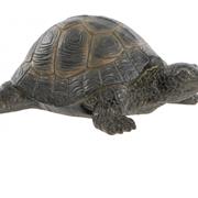 Tortoise statue