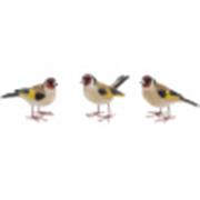 GOLDFINCH BIRDS