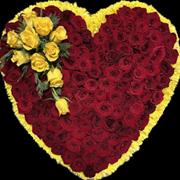 Ex large Rose heart 