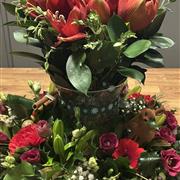Amaryllis  table display