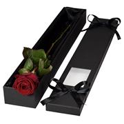 Red rose boxed and gifts 