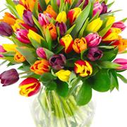 Tulip mix in a vase 