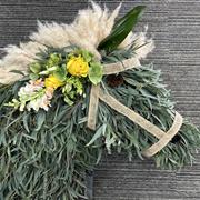 HORSE HEAD eucalyptus 