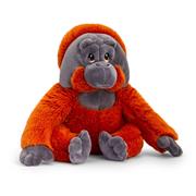 Orangutan Male