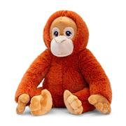 Orangutan
