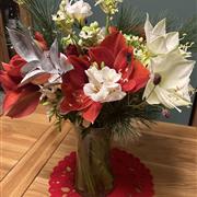 Amaryllis &amp; Freesia