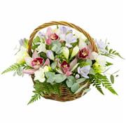 Freesia &amp; Orchid basket 