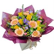 Bud Luck Freesia