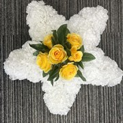 Star White Yellow
