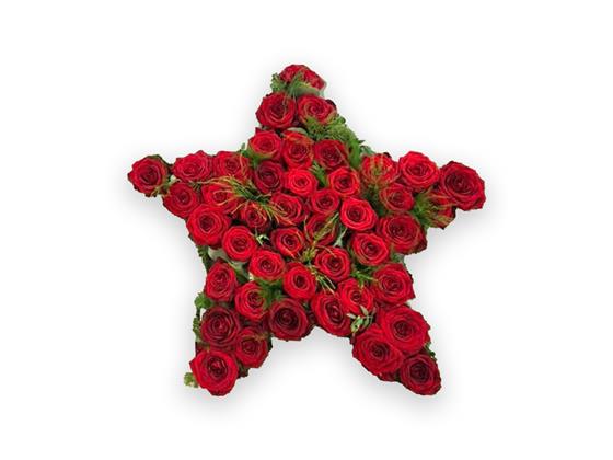 Star Red Roses