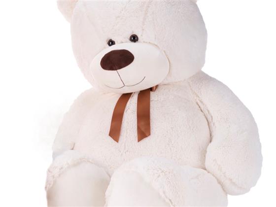 Extra Large Teddy Cream